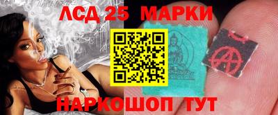 стафф Гай