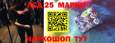 стафф Гай
