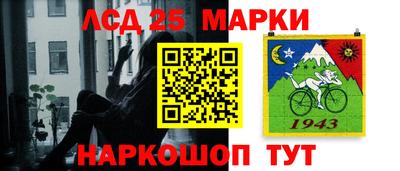 стафф Гай