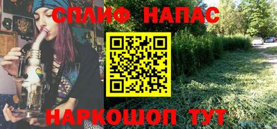 стафф Гай