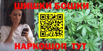 стафф Гай