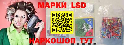 стафф Гай