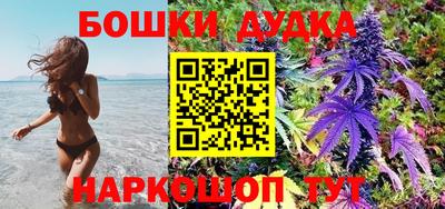 дурь Гатчина