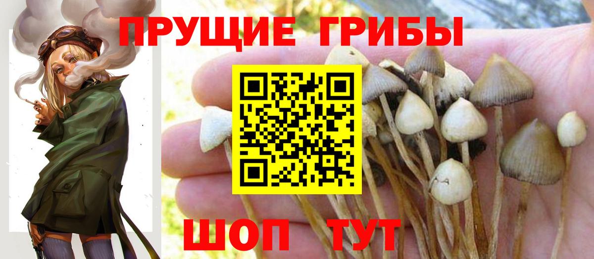 Амфетамин Назрань
