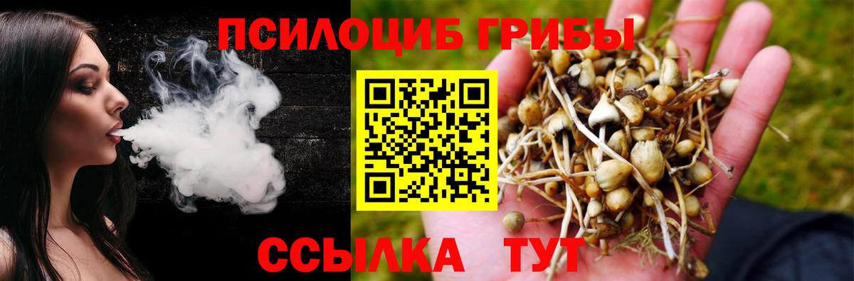 Псилоцибиновые грибы ЛСД Назрань